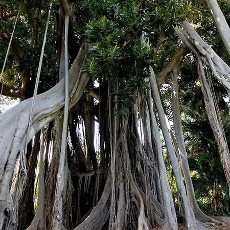 Apartament Lujoso Completo, Piscina, Terraza Con Vistas Al Teide